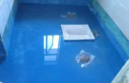ub޳õķNˮ϶ʲôc